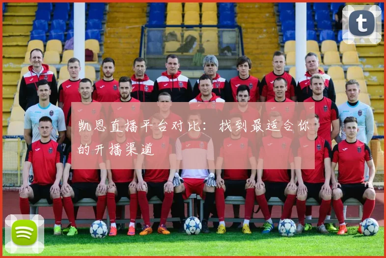 凯恩直播平台对比：找到最适合你的开播渠道
