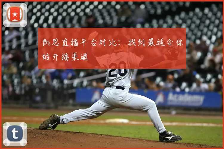 凯恩直播平台对比：找到最适合你的开播渠道